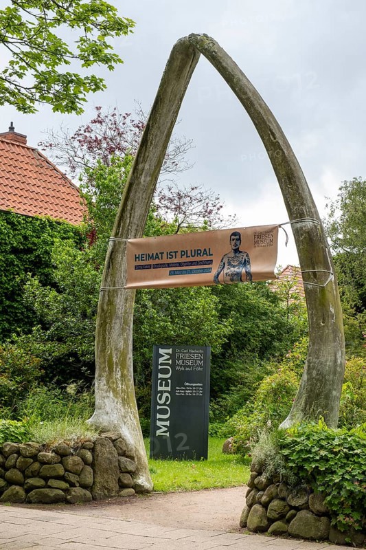 Friesen Museum, blue whale lower jaw, Wyk, Föhr, North Sea island, North Friesland, Schleswig-Holstein, Germany, Europe