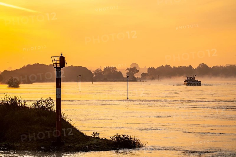 Cargo ships on the Rhine near Emmerich, early morning, sunrise, fog, mist on the river, North Rhine-Westphalia, Germany, Europe