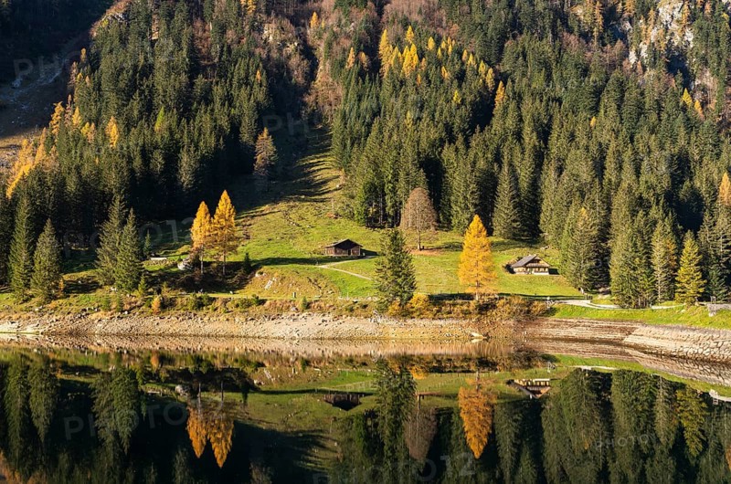 The Vordere Gosausee and the hiking trail around the lake in autumn. Two typical houses. Yellow larches. Reflection. Vorderer Gosausee, Gosau, Gosau Valley, Salzkammergut, Upper Austria, Austria, Europe