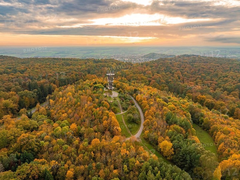 Autumnal forest with observation tower and colourful sea of leaves under a dramatic sky, Schönbuchturm, Herrenberg, Germany, Europe
