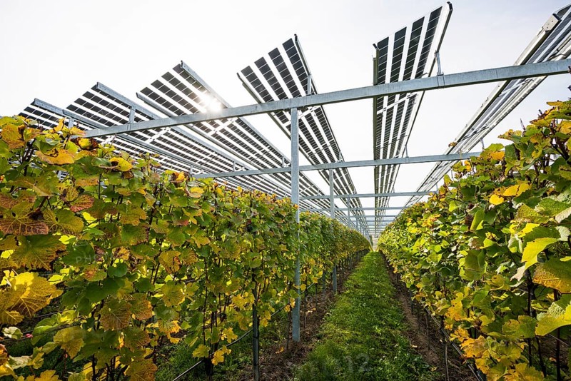 Solar plant in the vineyard, solar cells, solar modules, solar power plant, photovoltaic plant, Blankenhornsberg, near Ihringen, Kaiserstuhl, Baden-Württemberg, Germany, Europe