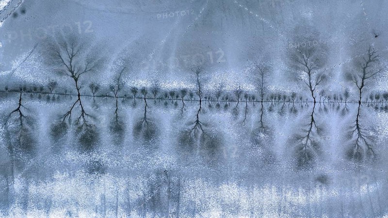 Aerial view, lake landscape, reed bed, flooded area, biotope, habitat, Elbe floodplain, floodplain landscape, river course, delta, cracks in the ice, ice skating rink, winter and frost, flood, river landscape, flowing water, sunrise, old paths, Middle Elbe Biosphere Reserve, Saxony-Anhalt, Germany, Europe