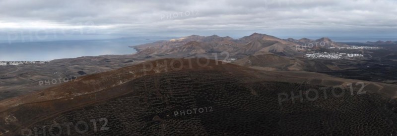 Grapevines growing in black volcanic soil in protected enclosed pits, La Geria, Lanzarote, Canary Islands, Spain, Europe