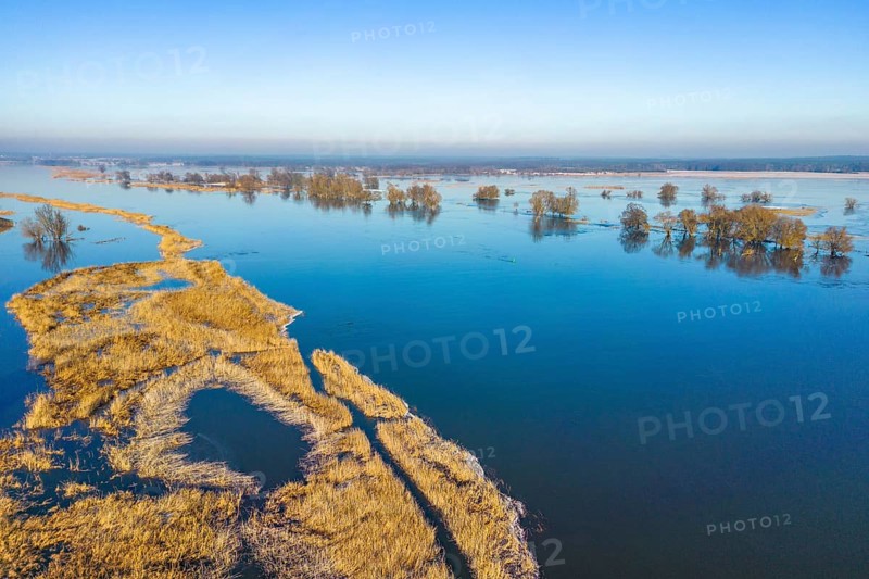 Aerial view, drone photo: Flood, flooded meadows in the floodplains along the river Oder, Groß Neuendorf, Oderbruch, Brandenburg, Germany, Europe
