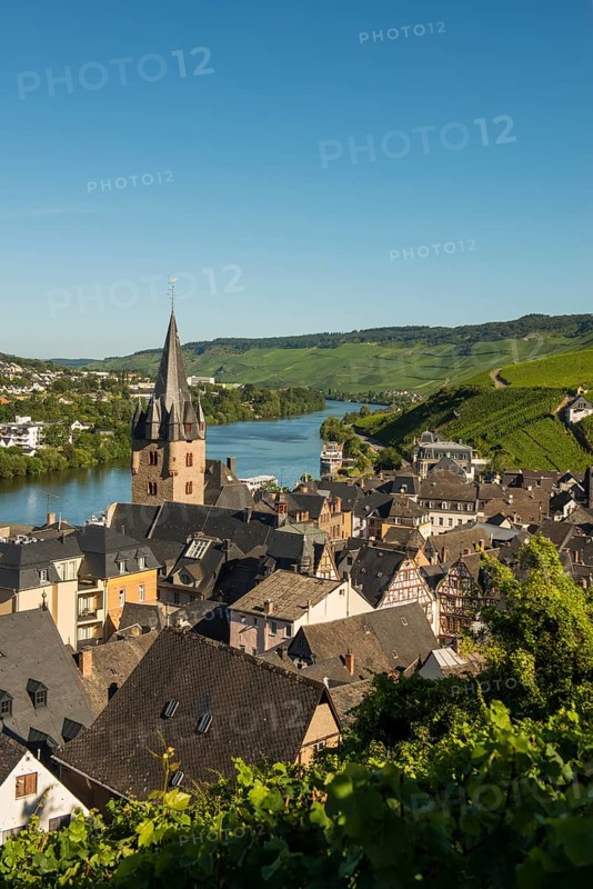 Picturesque village by the river and in the vineyards, Bernkastel-Kues, Moselle, Rhineland-Palatinate, Germany, Europe