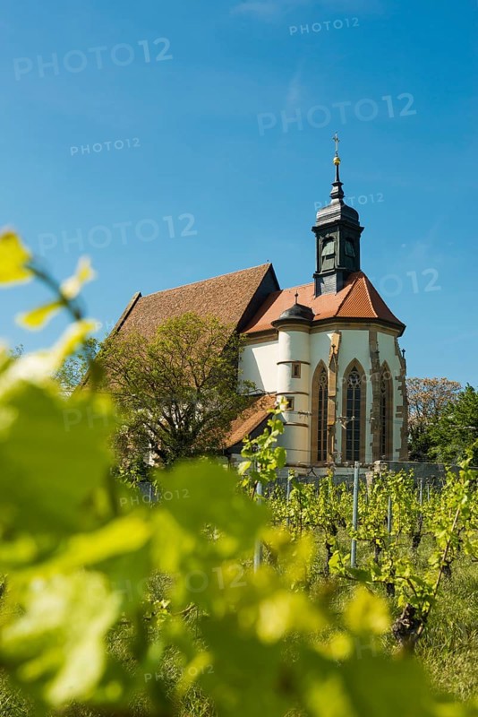 Pilgrimage church Maria im Weingarten, Volkach, Mainfranken, Lower Franconia, Franconia, Bavaria, Germany, Europe
