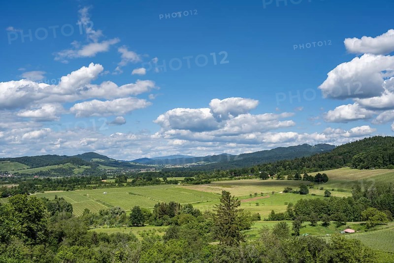View of the hilly landscape near Staufen, in Breisgau, wine-growing region, Markgräflerland, Black Forest, Baden-Württemberg, Germany, Europe