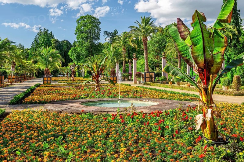 Palm garden in the spa gardens, the largest outdoor palm garden north of the Alps, spa town of Bad Pyrmont, Lower Saxony state spa, Emmer, Emmertal, Weserbergland, Lower Saxony, Germany, Europe