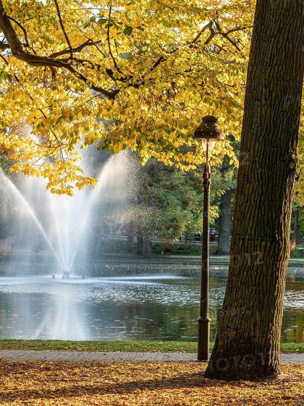 Autumn foliage, colourful trees, fountain in the pond, park Französischer Garten (French Garden), Celle, Germany, Europe