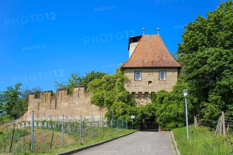 Hohenbeilstein Castle, hilltop castle, vineyards, Beilstein, Heilbronn district, Baden-Württemberg, Germany, Europe