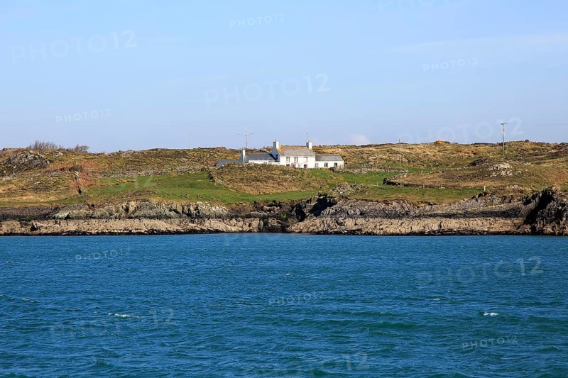 Farmhouse croft on Ringarogy Island, Roaringwater Bay, County Cork, Ireland, Irish Republic, Europe