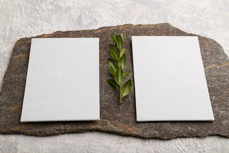White paper business card, mockup with natural stone and boxwood branch on gray concrete background. Blank, side view, still life, canvas, copy space