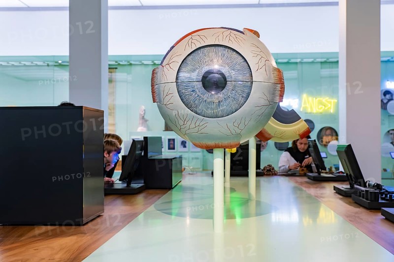 Founded in 1912, the Deutsches Hygiene-Museum is a museum in Dresden. It sees itself as a public forum for science, culture and society. Model of an eyeball