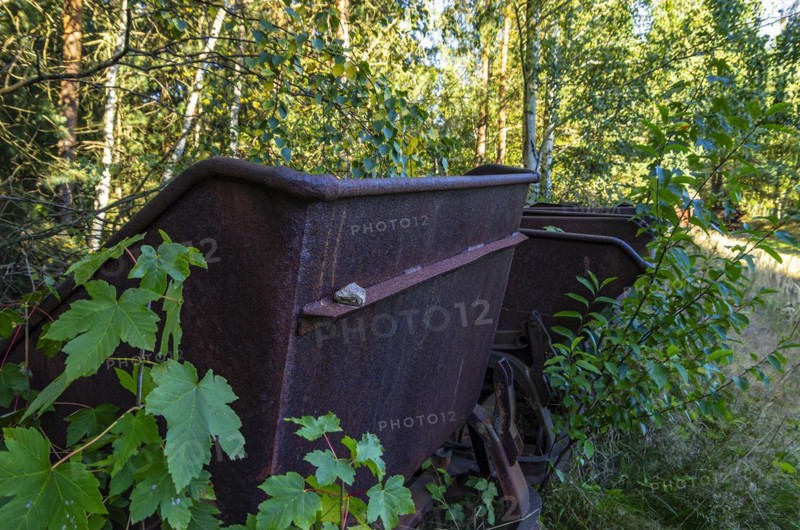 Old dilapidated rusty wagons of a light railway in an abandoned quarry, West Lusatia, Saxony, Germany, Europe