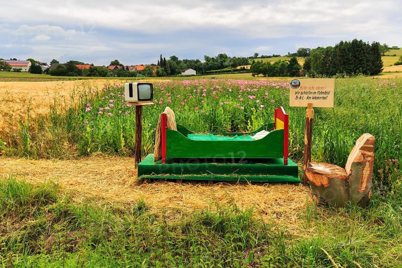 Colourful wooden bed outdoors, on straw, vintage TV, original hiking trail in the poppy field, sign with inscription, Please do not disturb, We sleep in the poppy field, Germerode, Meißner, Geo-nature park Park Frau-Holle-Land, Hesse, Germany, Europe