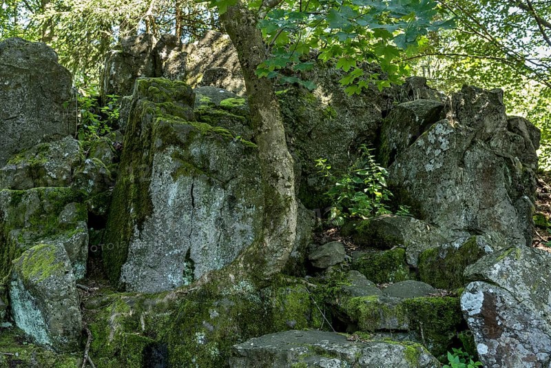 Volcanic basalt rocks, basanite, summit of Hoherodskopf mountain, Tertiary volcano, Schotten, Vogelsberg Volcanic Region nature park Park, Hesse, Germany, Europe