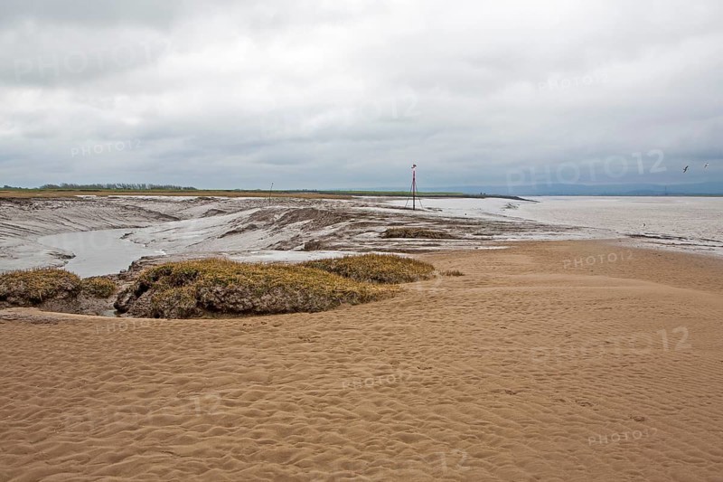 Muddy channel of the River Brue at low tide at its mouth at Burnham on Sea, Somerset, England, United Kingdom, Europe