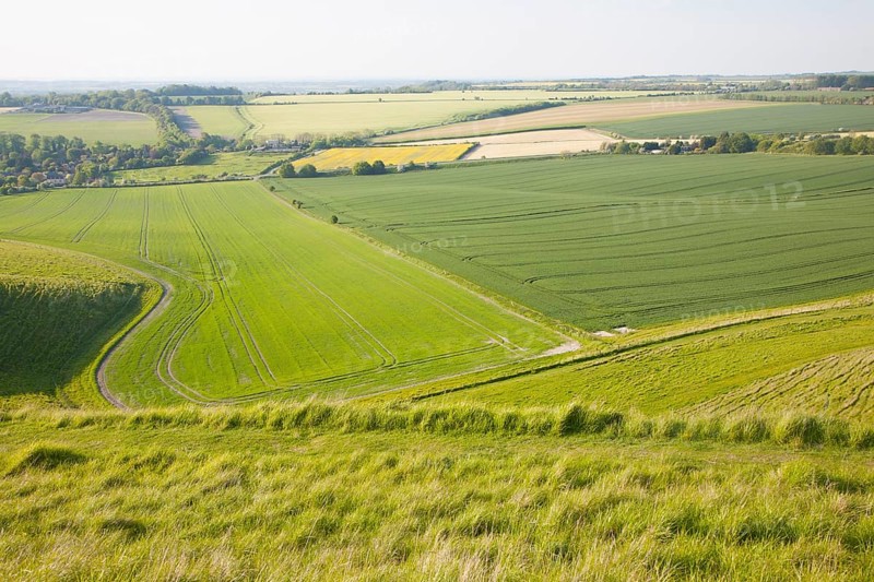 Summer view of arable fields and chalk landscape from Cherhill Down escarpment, Wiltshire, England, UK