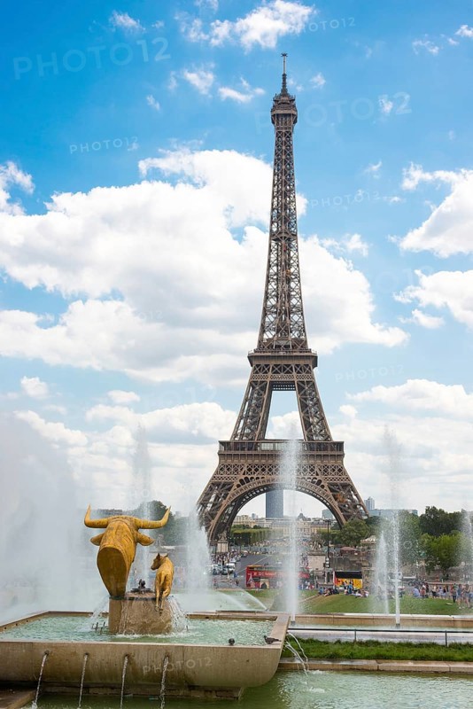 Eiffel Tower, Tour Eiffel, behind a fountain with sculpture, statue Taureau et Daim (Bull and Deer), sculptor Paul Jouve, on a sunny day with blue sky and white clouds, Jardins du Trocadéro, 16th arrondissement, Paris, France, Europe