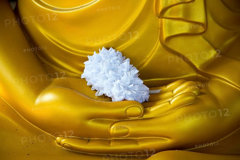 Detail of Buddha statue with offering in palm of hands, Gangaramaya Temple, Colombo, Sri Lanka, Asia