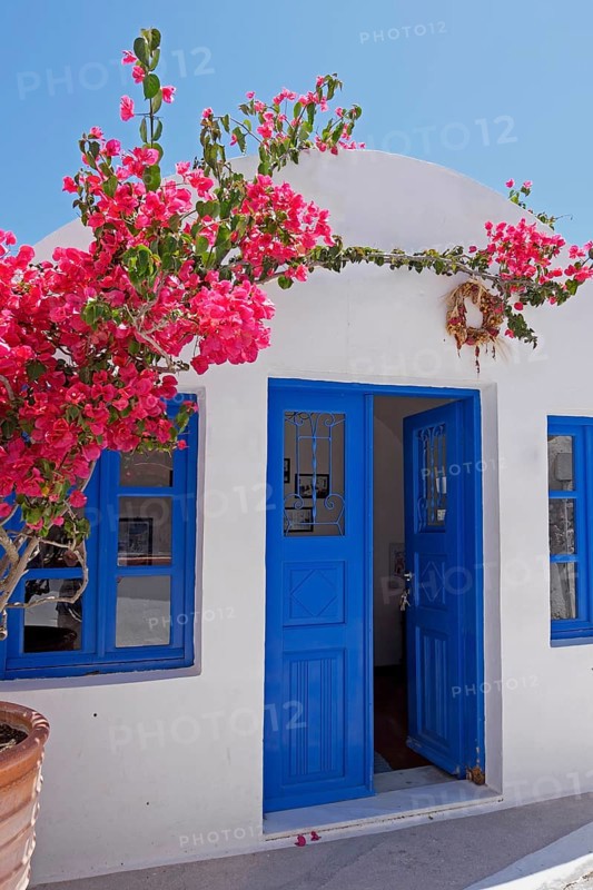House entrance with bougainvillea or bougainvilleas (Bougainvillea), Oia, Santorini, Clyclades, Greece, Europe