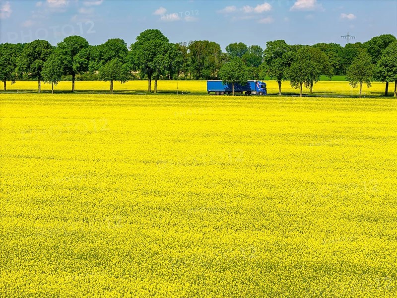 Landscape on the Lower Rhine, federal road B57, between Xanten and Kalkar, road traffic, North Rhine-Westphalia, Germany, Europe