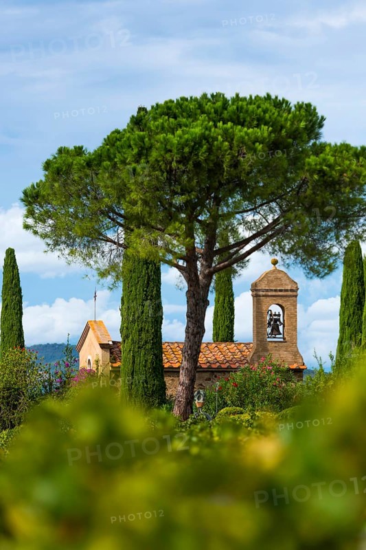 Viticulture, agriculture, agribusiness, winegrower, wine, plantation, Suvereto, Tuscany, Italy, Europe
