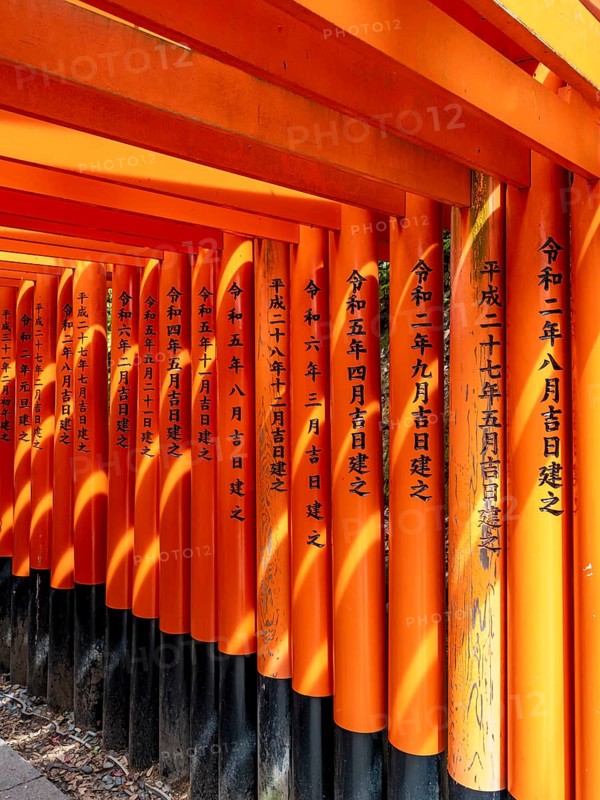 Torii gates, Fushimi Inari-Taisha shrine, Kyoto, Japan, Asia