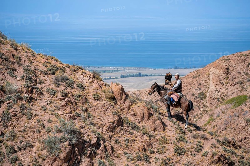 Traditional Kyrgyz eagle hunter with eagle in the mountains, hunting on horseback in front of dry landscape, near Kysyl-Suu, Issyk Kul, Kyrgyzstan, Asia