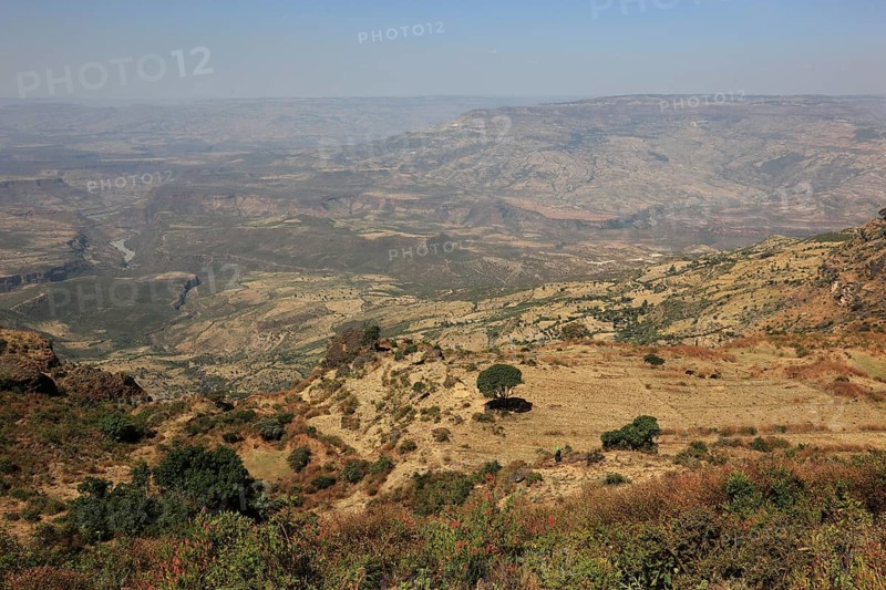Landscape in the Choke Mountains, view into the valley, Ethiopia, Africa