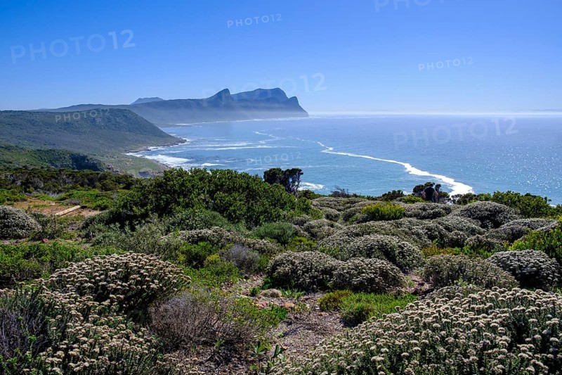 Cape Point Nature Reserve, Cape Point, Cape of Good Hope, Cape Peninsula, Western Cape, South Africa, Africa