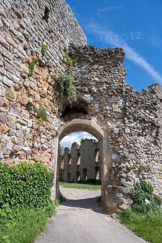 The main portal of the ruins of Staufen Castle on the Schlossberg, Staufen im Breisgau, wine-growing region, Markgräflerland, Black Forest, Baden-Württemberg, Germany, Europe