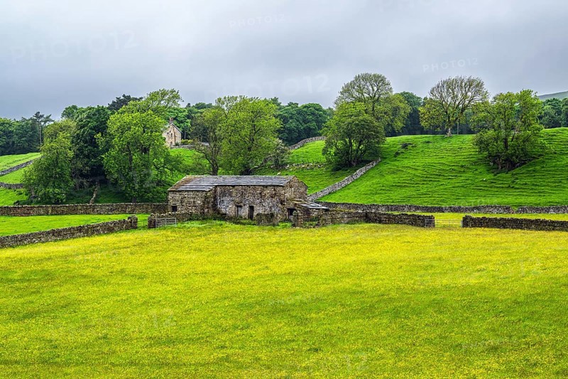 Farms in Yorkshire Dales National Park, North Yorkshire, England, United Kingdom, Europe