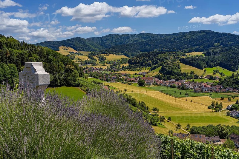 Landscape, Glottertal, Village, Black Forest, Germany, Europe