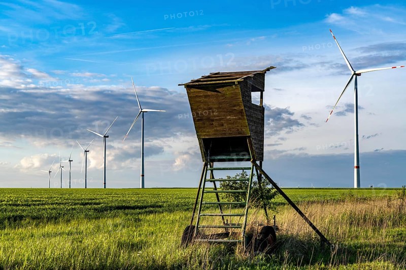RWE wind farm near Bedburg, at the Garzweiler opencast mine, on recultivated part of the opencast lignite mine, Nordex N163 wind turbine, North Rhine-Westphalia, Germany, Europe