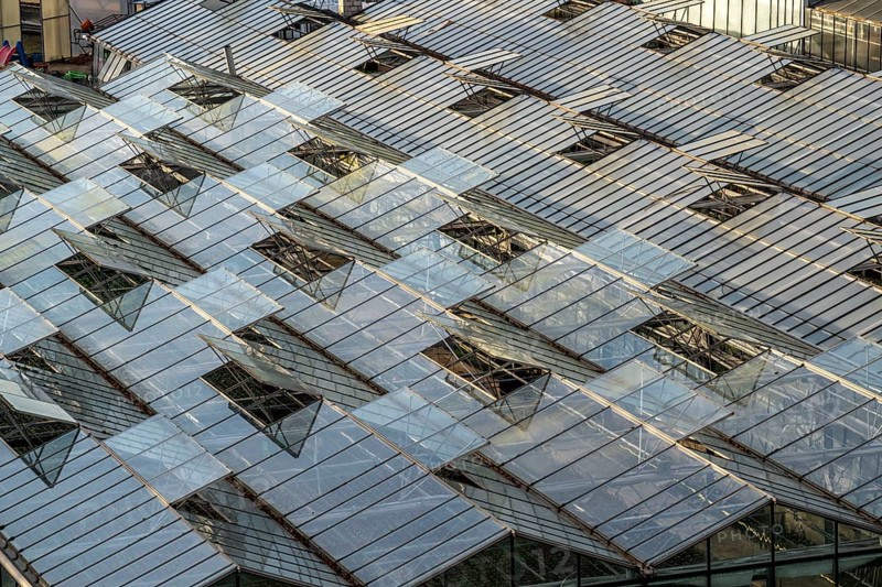 Nursery, plant cultivation, glass greenhouses, skylights open, roofs, Düsseldorf-Volmerswerth, Germany, Europe