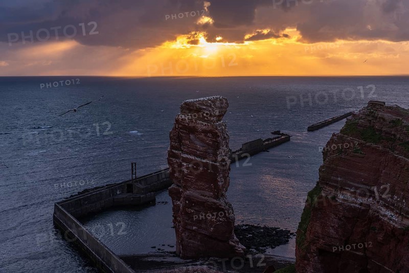 Red sandstone cliff with Lange Anna on the offshore island of Heligoland, mole as protection against erosion, gannets, evening light, cloudy sky, North Sea, Pinneberg district, Schleswig-Holstein, Germany, Europe
