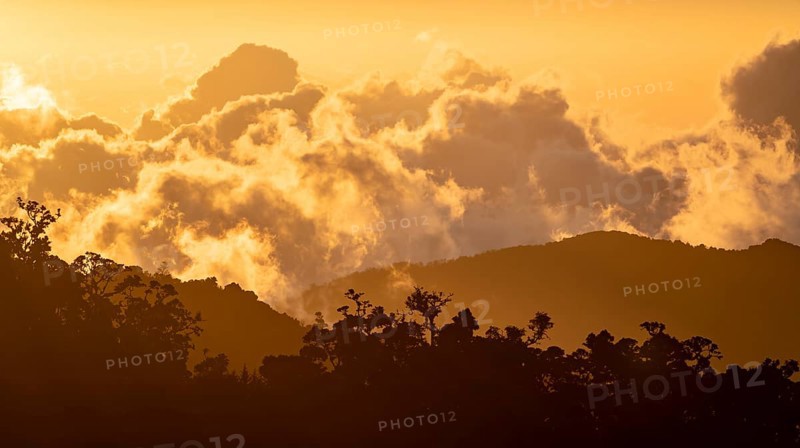 Evening mood, clouds over cloud forest, mountain rainforest, Parque Nacional Los Quetzales, Costa Rica, Central America