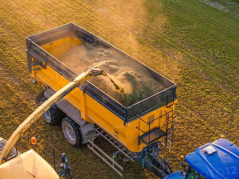 Tractor unloading crops into a yellow trailer in a field while dust rises, Haselstaller Hof, Gechingen, Black Forest, Germany, Europe