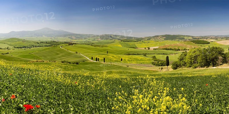 Landscape around Pienza, Val d'Orcia, Orcia Valley, UNESCO World Heritage Site, Province of Siena, Tuscany, Italy, Europe