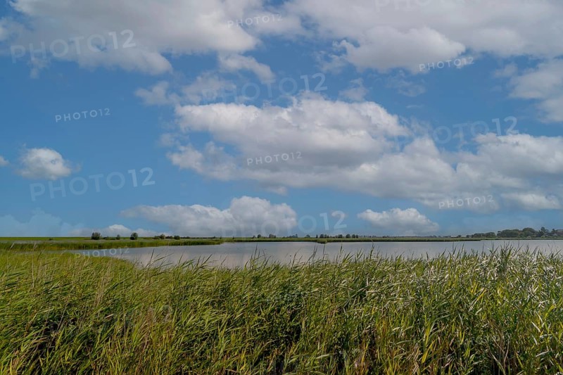 Leyhörn nature reserve, North Sea coast, Krummhörn, East Frisia, Lower Saxony, Germany, Europe