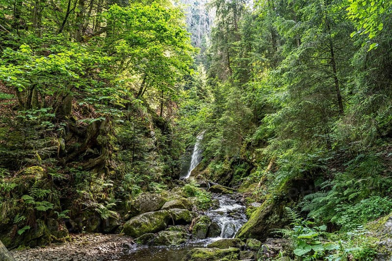 Waterfall Großer Ravennafall in the Ravenna Gorge near Breitnau, Black Forest, Baden-Württemberg, Germany, Europe