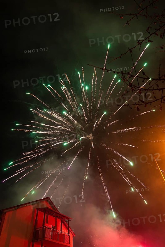 Colourful fireworks explode over trees during a night-time celebration, Stuttgart Birkach, Germany, Europe
