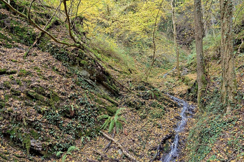 Dortebach valley in autumn, the Dortebach flows through a narrow side valley of the Moselle, Rhineland-Palatinate, Germany, Europe