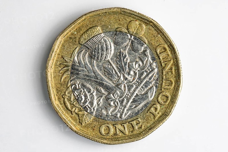 Close-up of the reverse of a British one pound coin, white background
