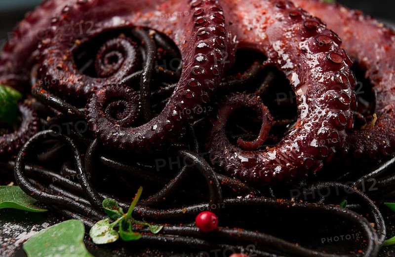 Octopus with black spaghetti, pasta, spices and herbs, top view, no people