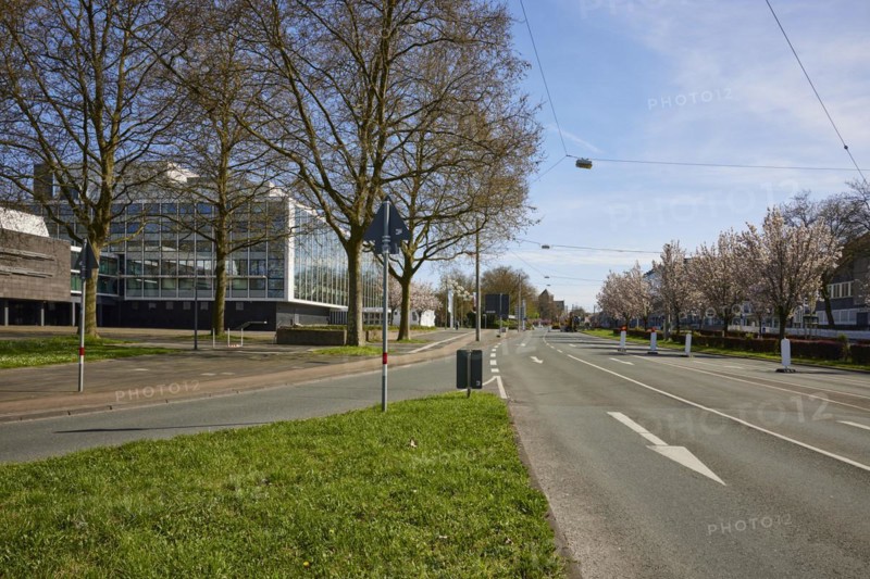 Main road Florastraße with blossoming cherry trees and the Musiktheater im Revier in Gelsenkirchen, Ruhr area, independent city, North Rhine-Westphalia, Germany, Europe