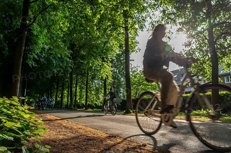 Promenade cycle path, tree-lined, car-free, approximately 4.5 km long ring road around the city centre of Münster, North Rhine-Westphalia, Germany, Europe