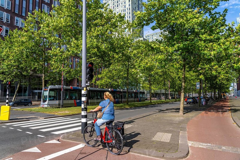 Urban greening, inner-city street Laan op Zuid, in Rotterdam's Feijenoord district, 4 lanes, 2 tram tracks, cycle paths on both sides, pavements and parking lanes, planted with hundreds of plane trees over around 1.5 km, providing shade, cooling in summer, tram tracks with grass surface, less surface sealing, urban climate, microclimate in the city, Rotterdam, Netherlands