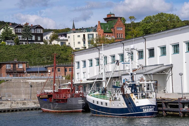 The town harbour of Sassnitz, island of Rügen, fishing boats, Mecklenburg-Western Pomerania, Germany, Europe